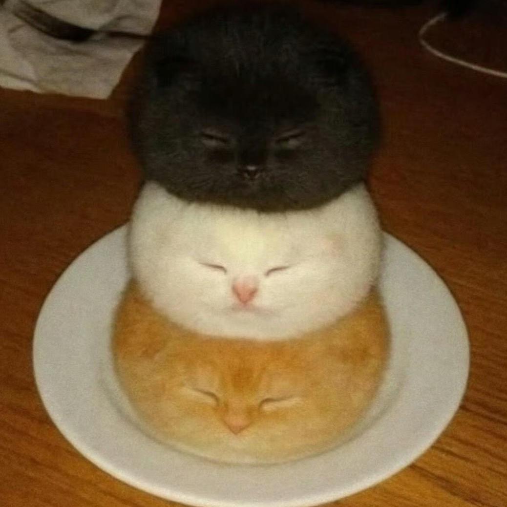 小猫眼线大王