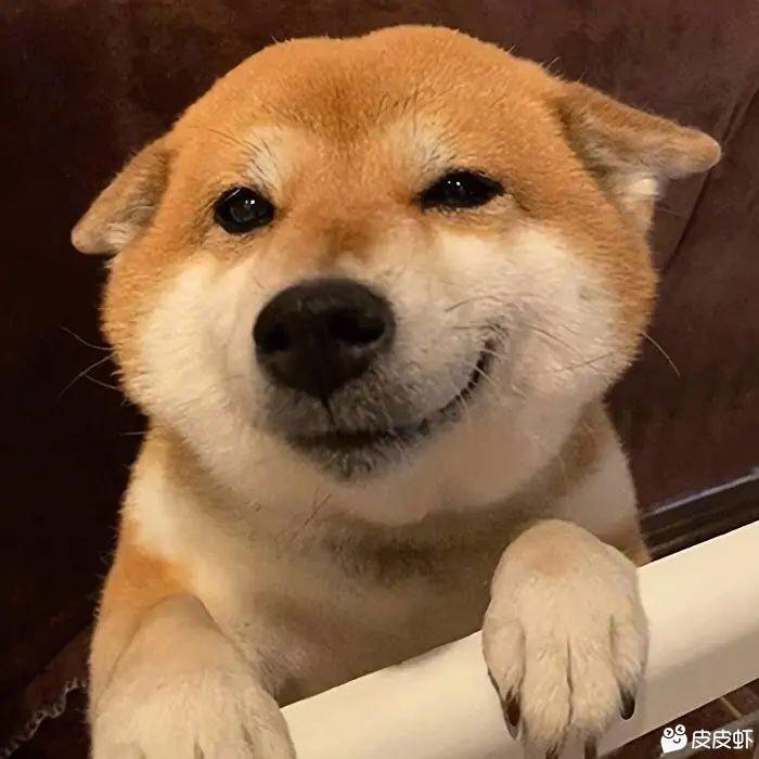 两百斤的胖虎