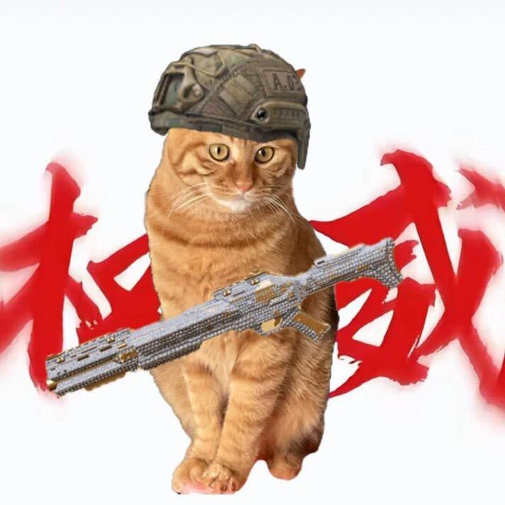 鹅酥之士💡