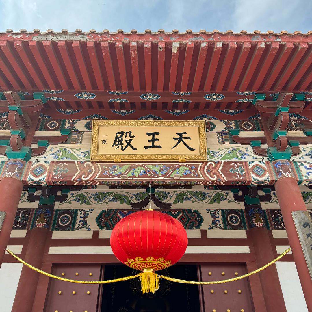 德牧优选（赛系德牧）