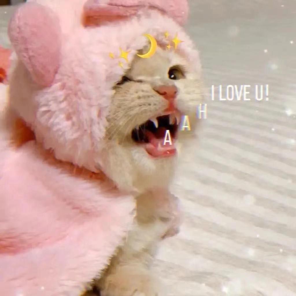 扣1变成小猪🌙