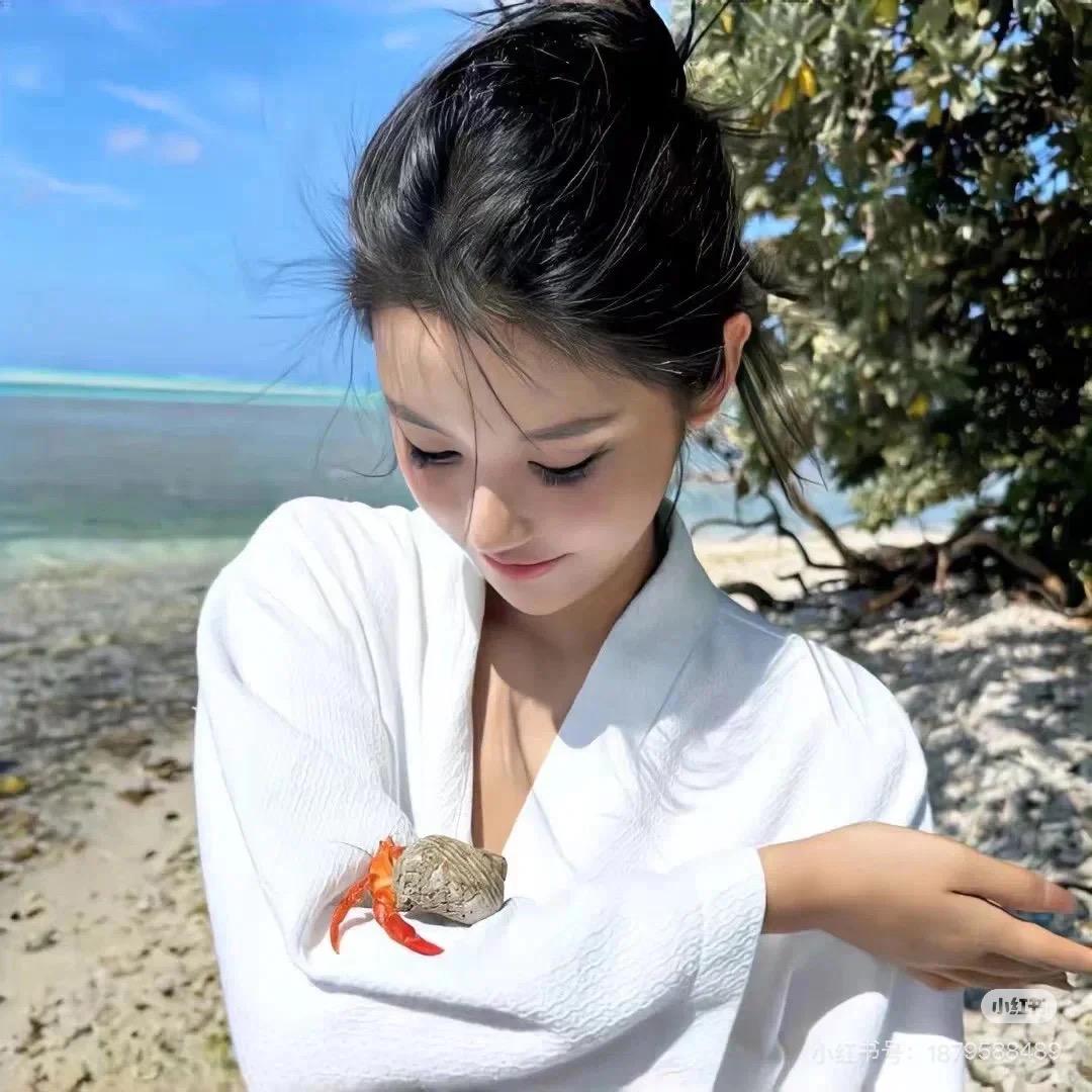 新洋芋