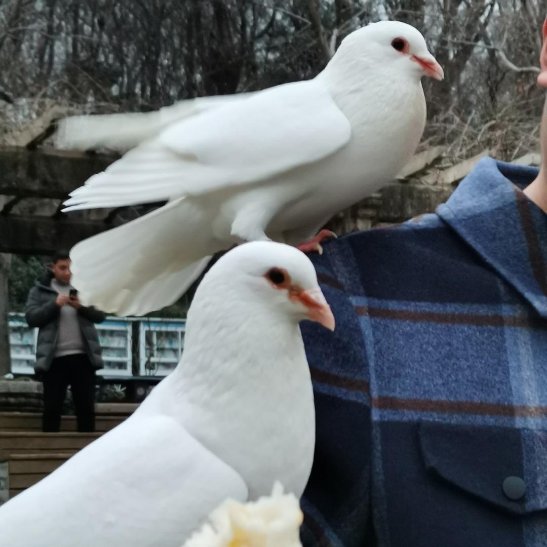 无锡新程专转本指导®李老师