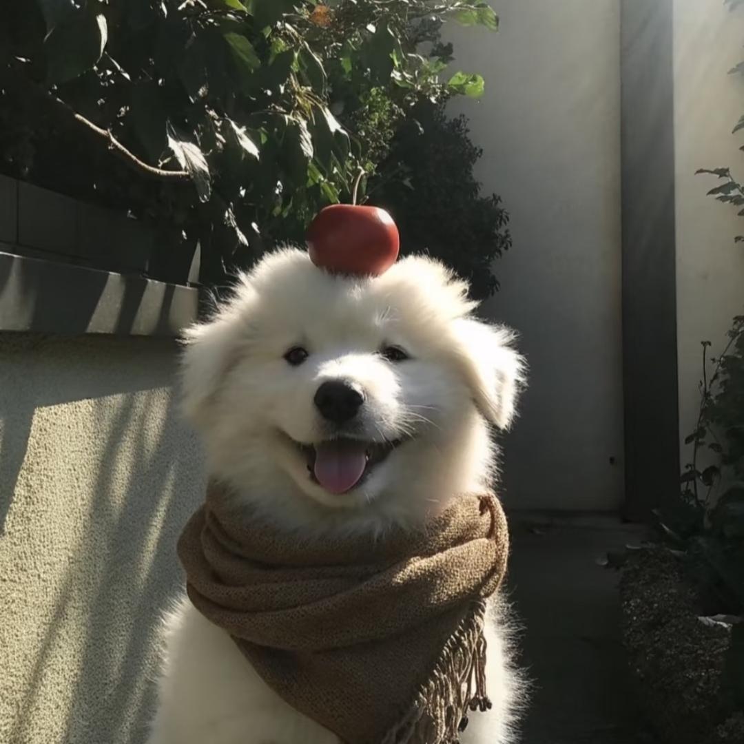 胖墩儿