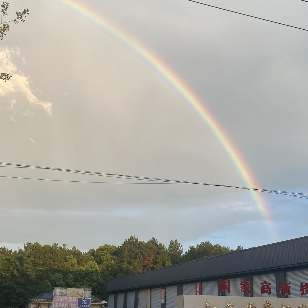 宏仪灭鼠专家个体店