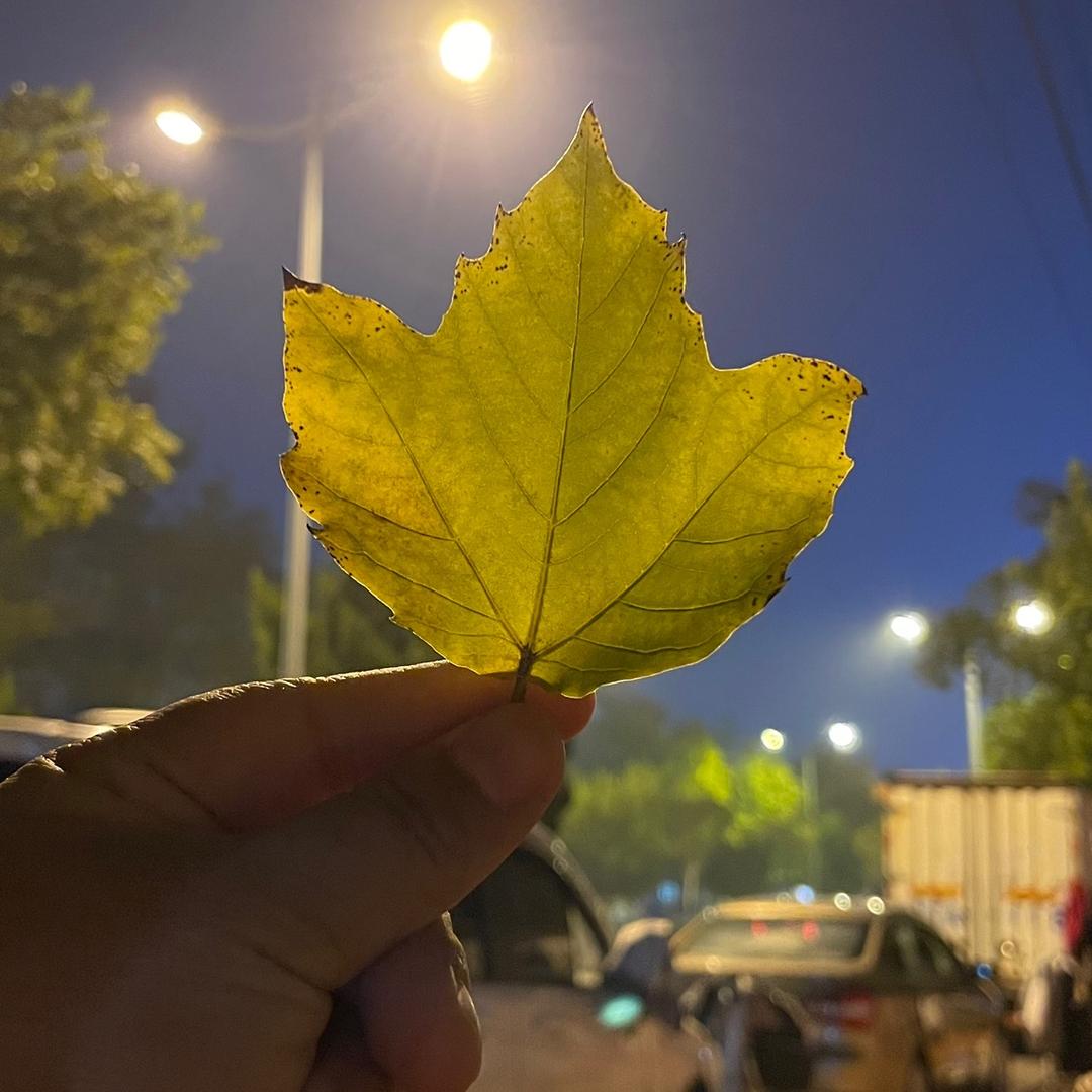 宏顺汽车装饰🤩😏