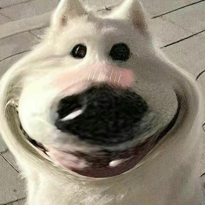 mxxxxxxxx
