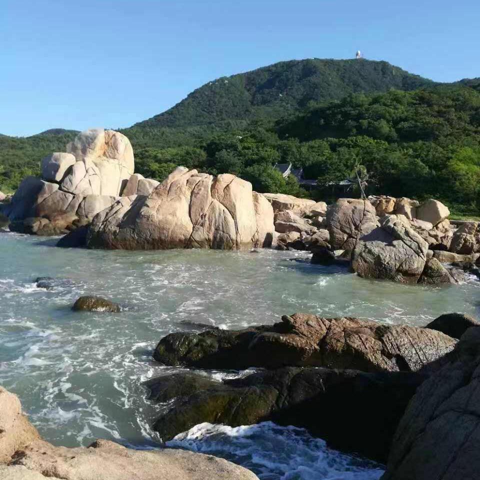 在流氓村听莫扎特的皂荚