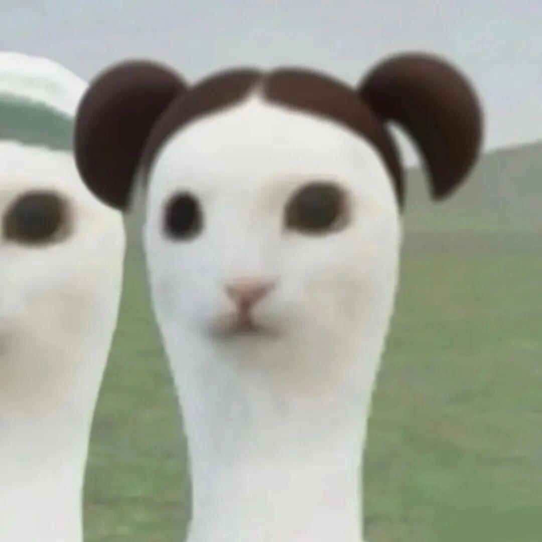 小 愛💤