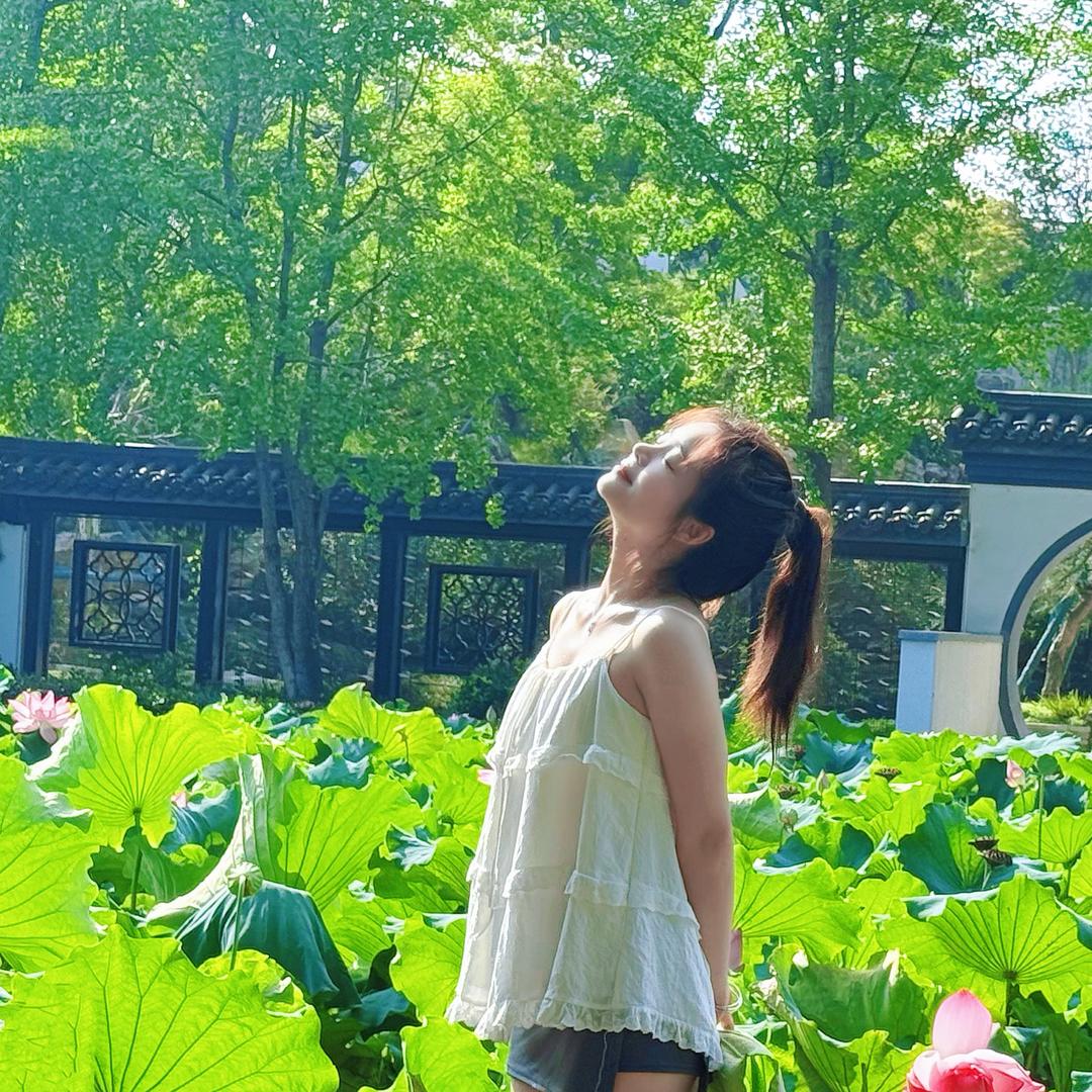 杨小莫