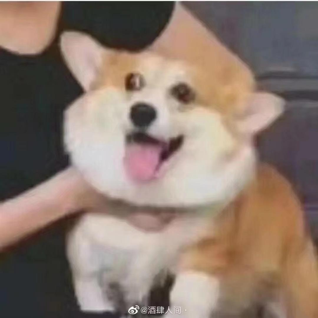几碎小舟