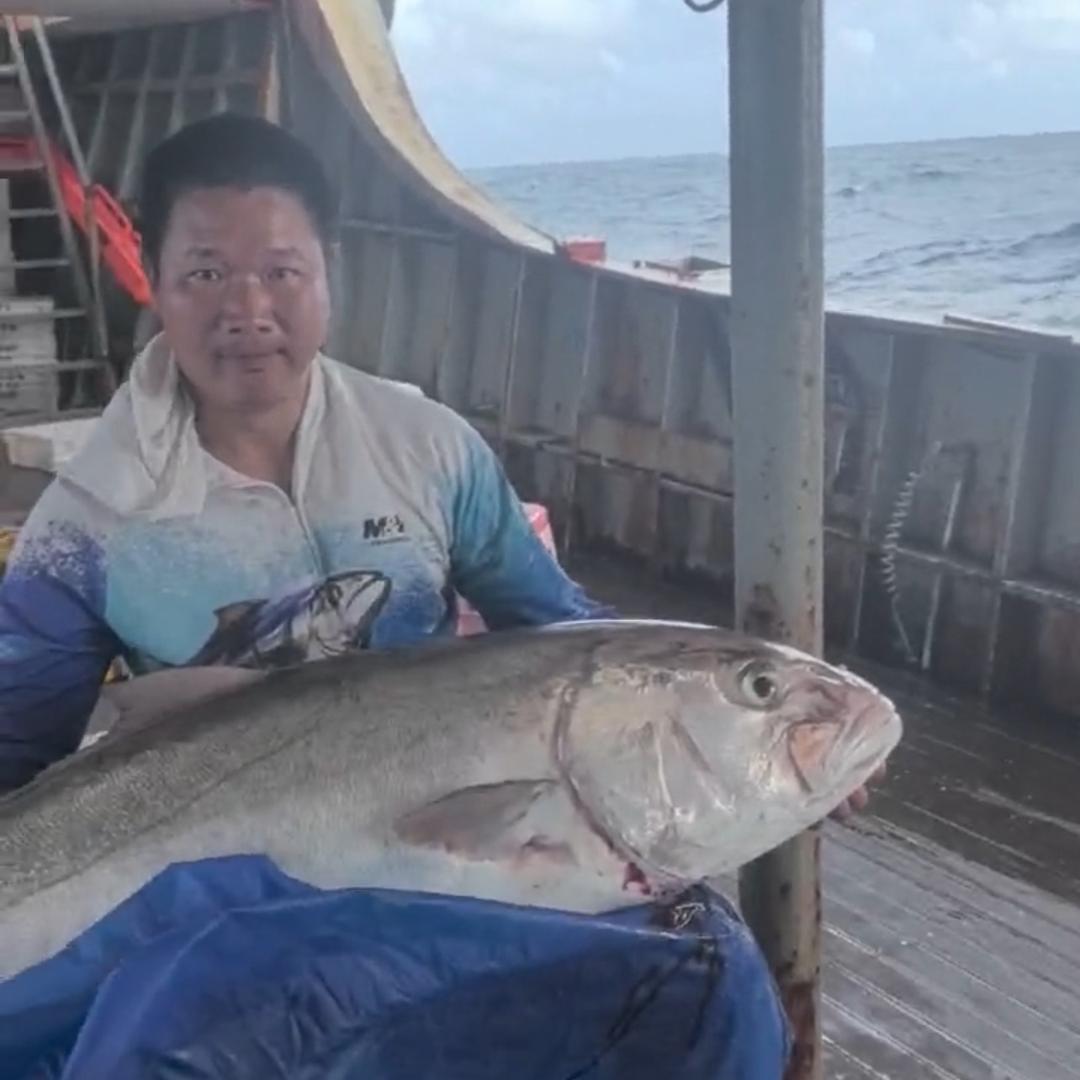东海专业钓鱼客（阿国）🎣🎣🎣