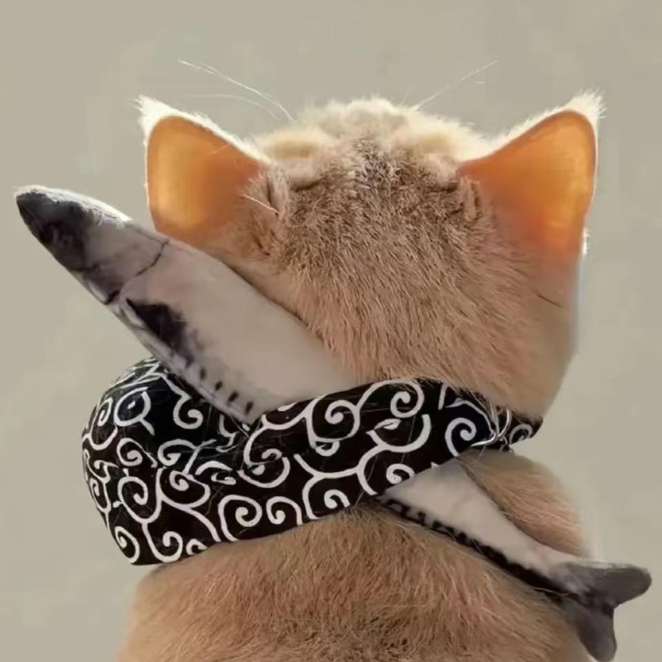十一