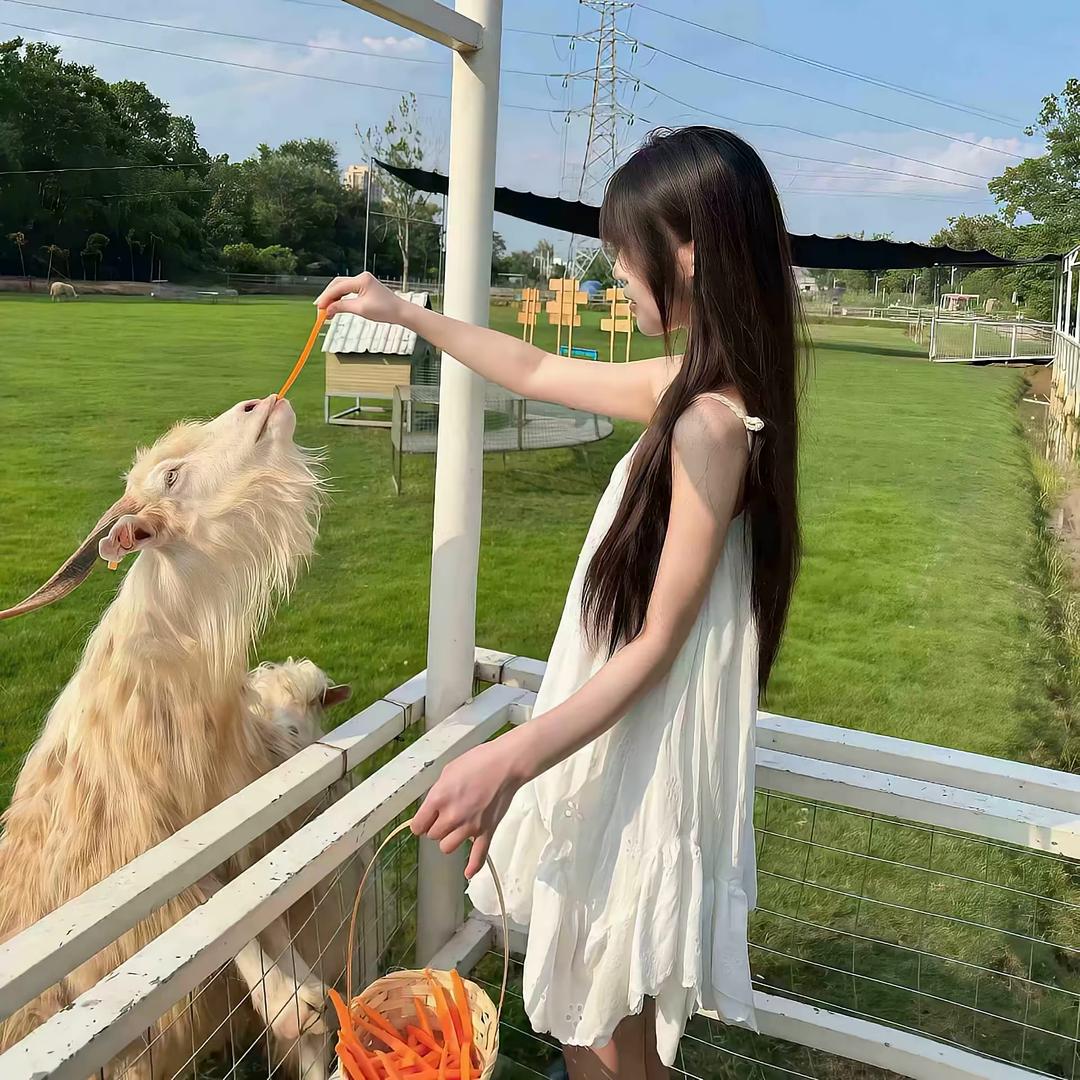 独佳回忆^