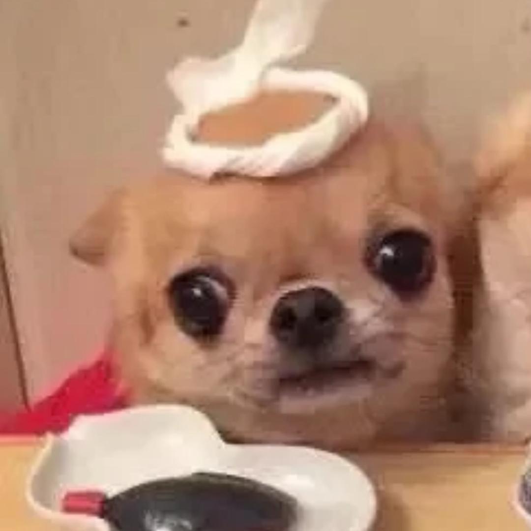 被判无妻
