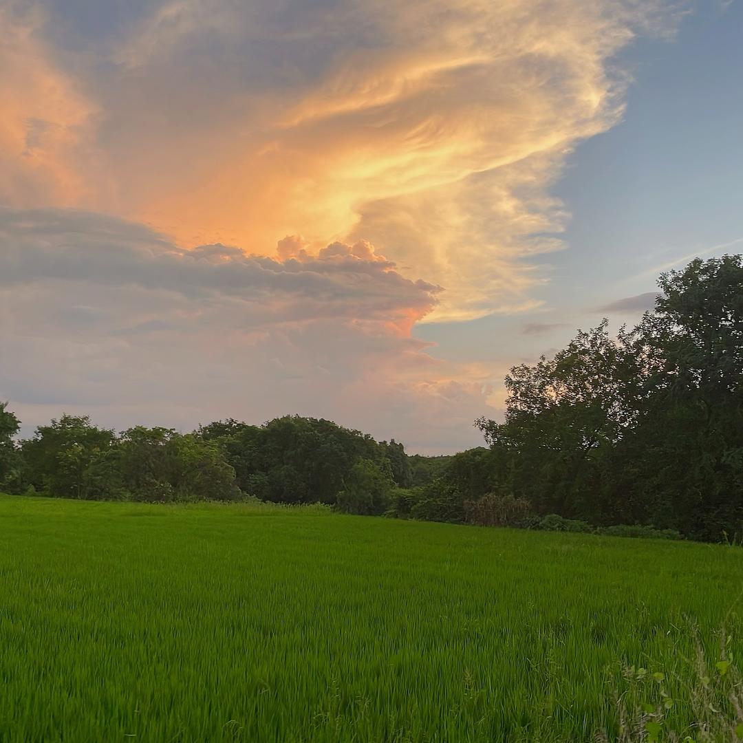 Kiki妈在做跨镜（小白）