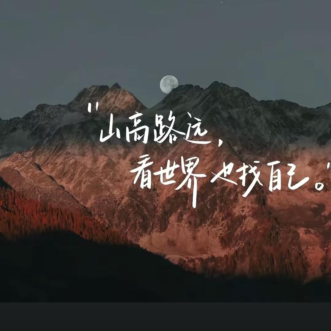 陈宏泽