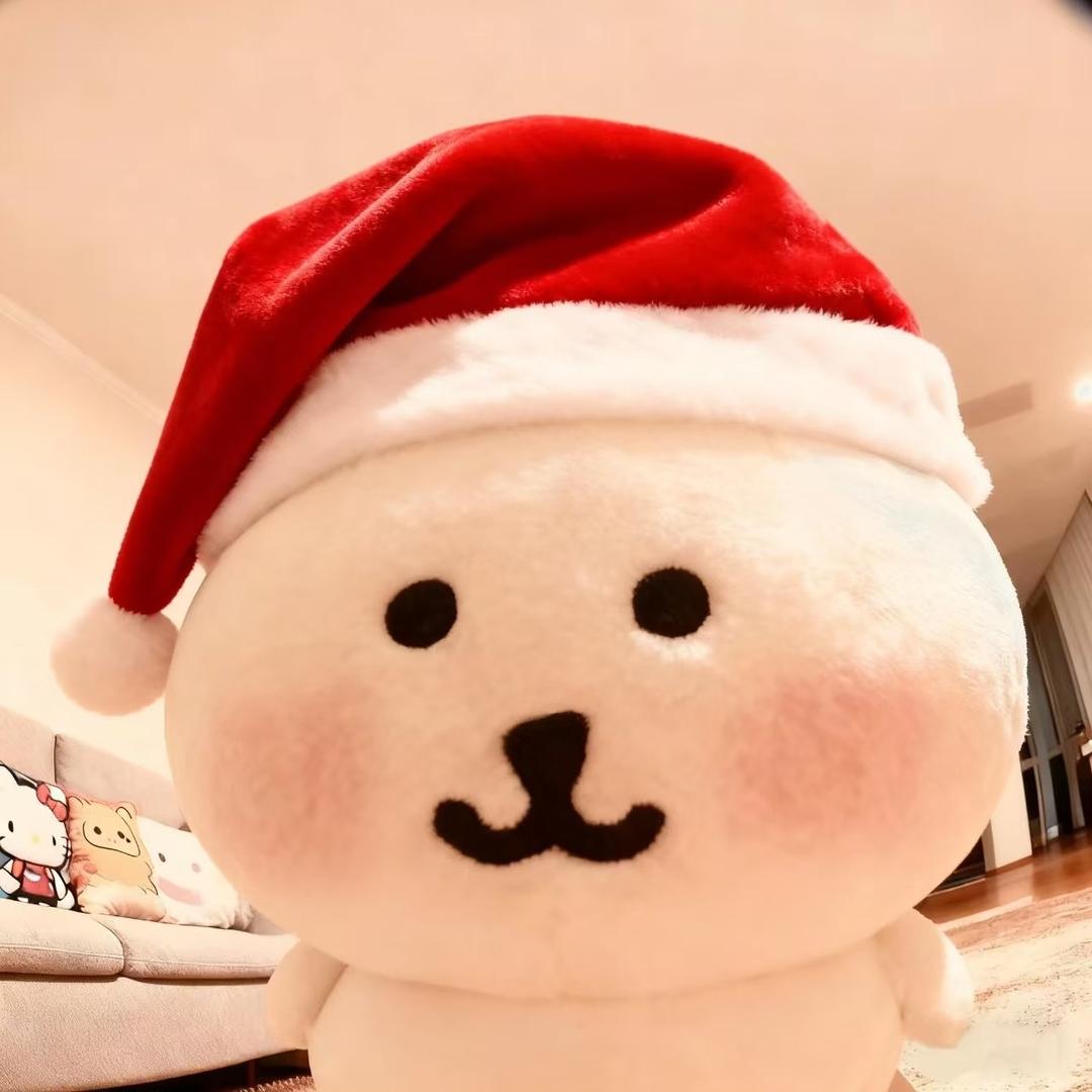 宇宙第一蚊子杀手🦟👋🏻【ISTJ】