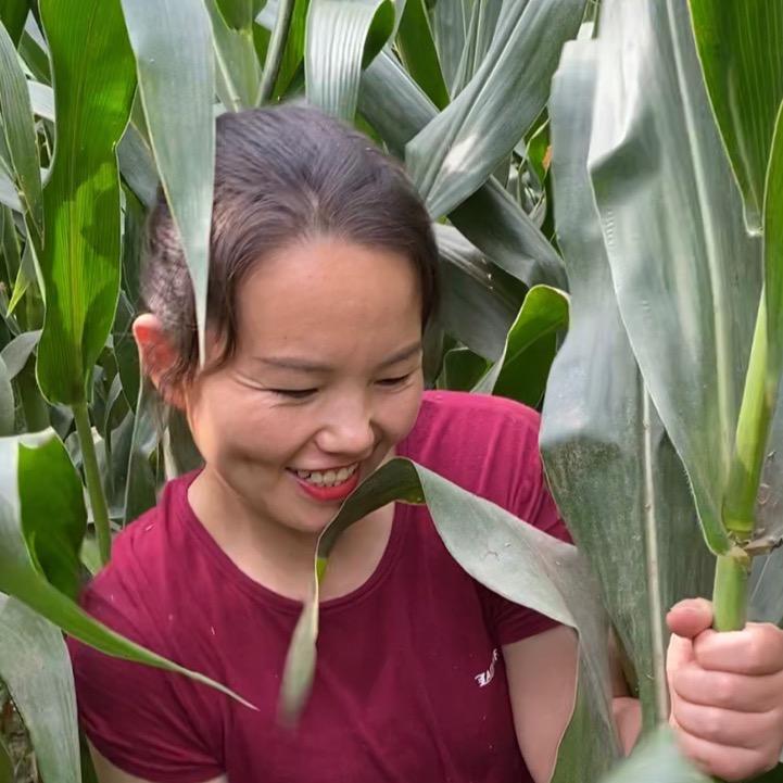 娜子农家乐
