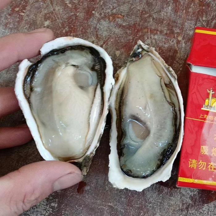 荣北生蚝批发商行