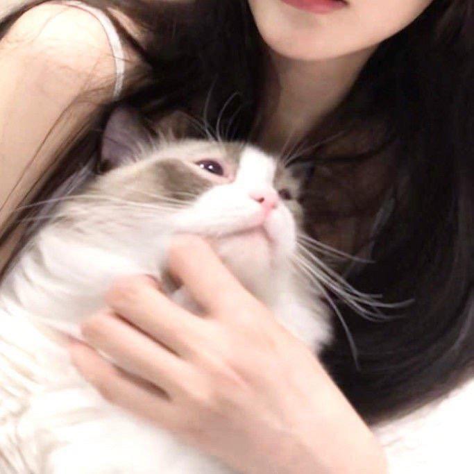 冯小新
