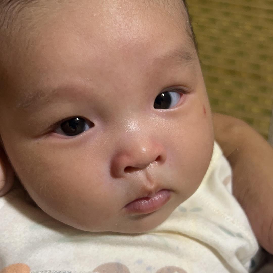 孤独的旅行者(单身爸爸）