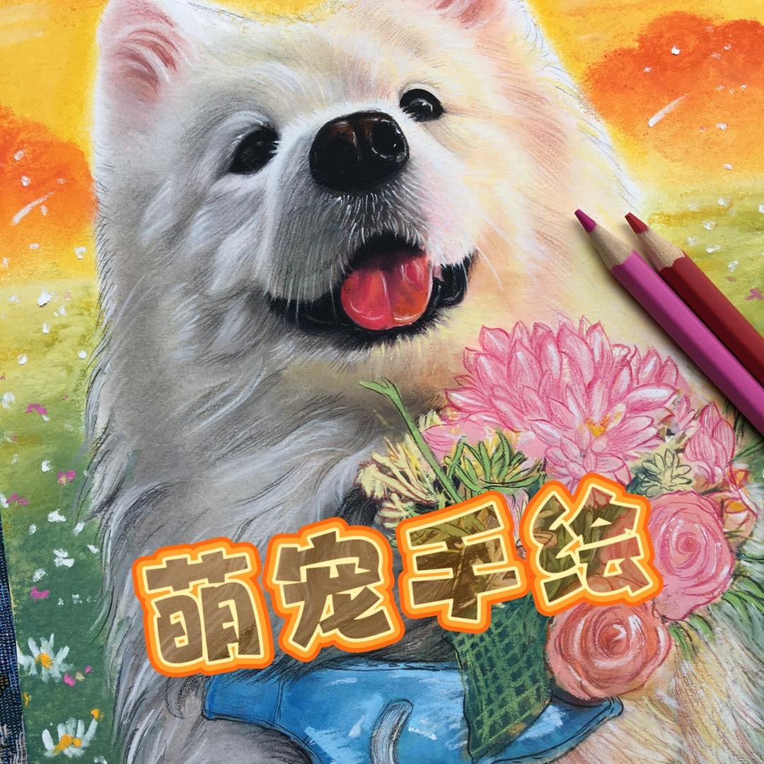 萌宠手绘