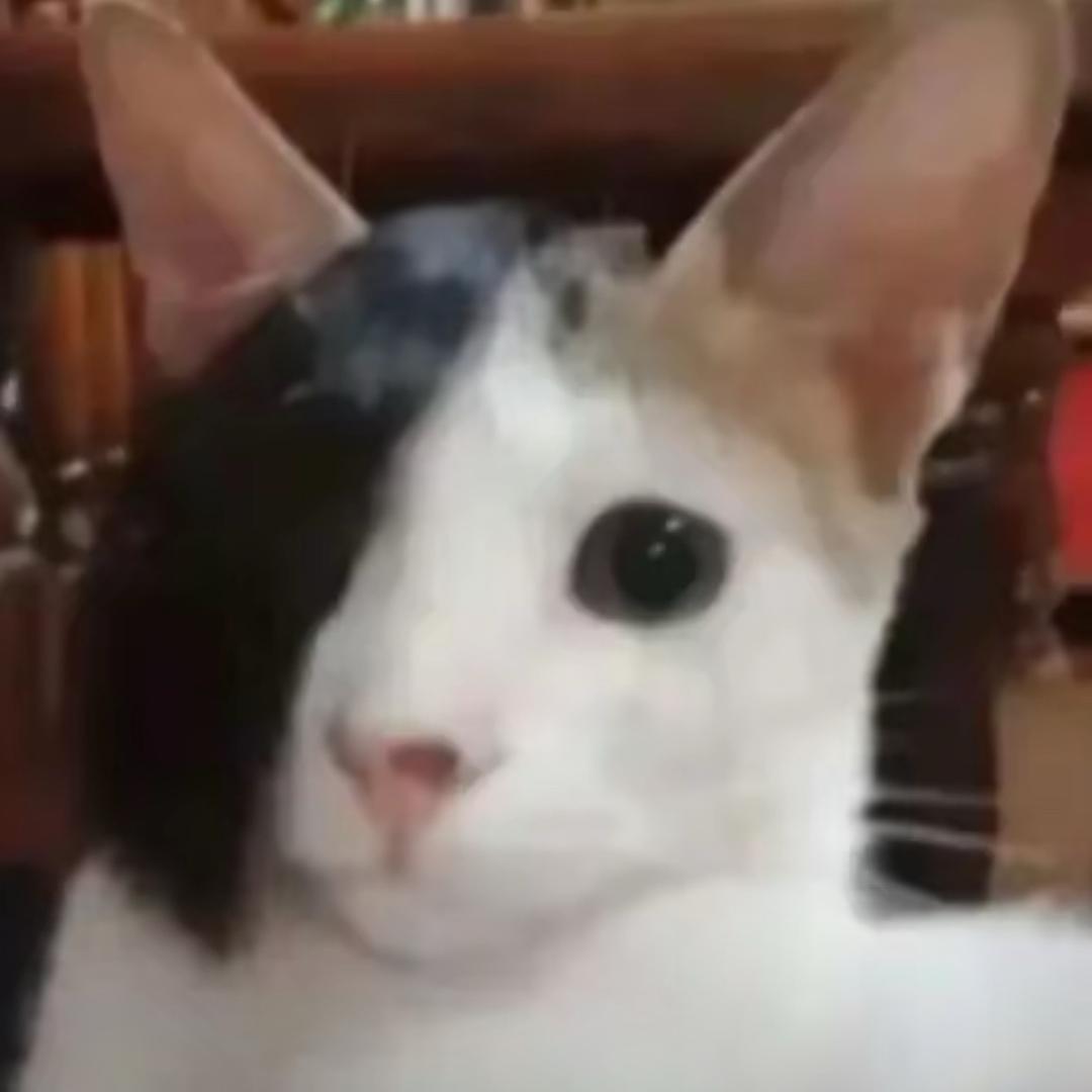 Ceeeee