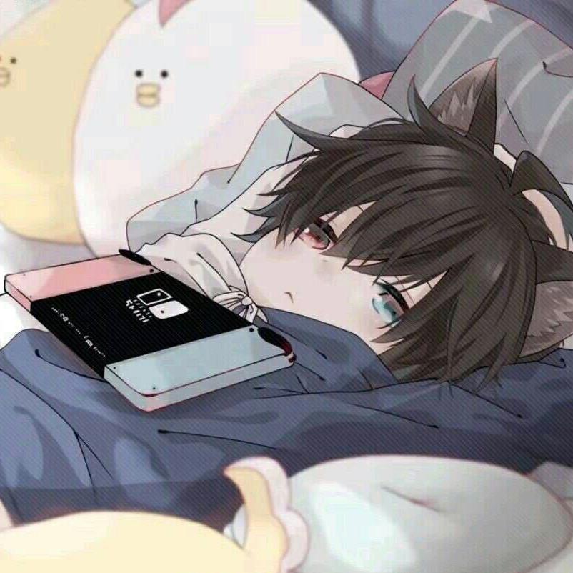 昨夜梦白鸽