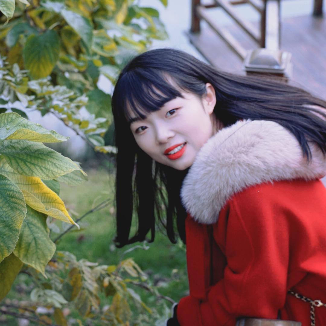 一只电子旅行杨