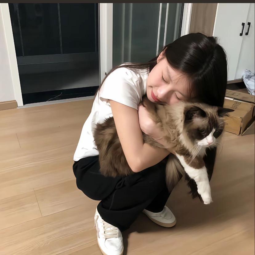_巷子里的猫