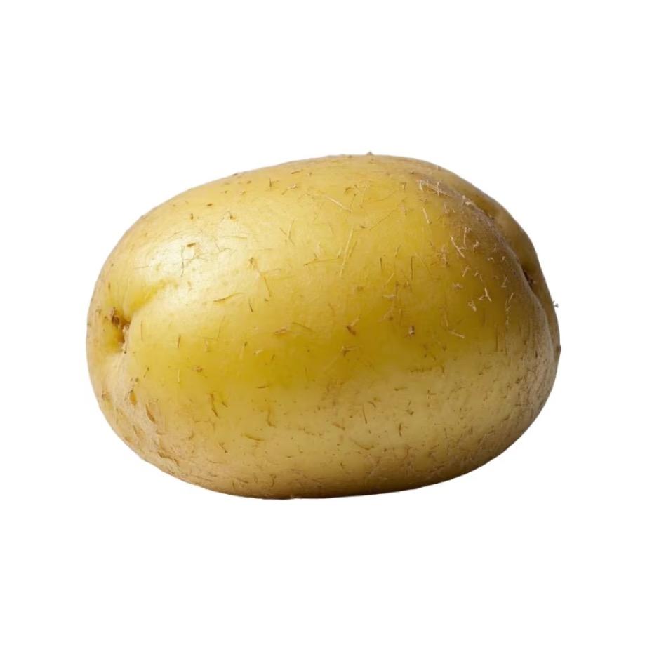 吉林省土豆批发张总