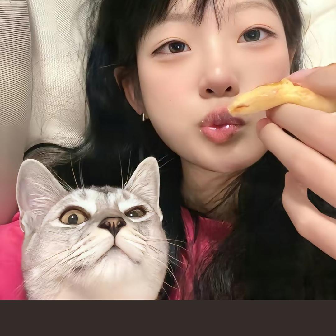 中华小厨神（金铲铲之战）