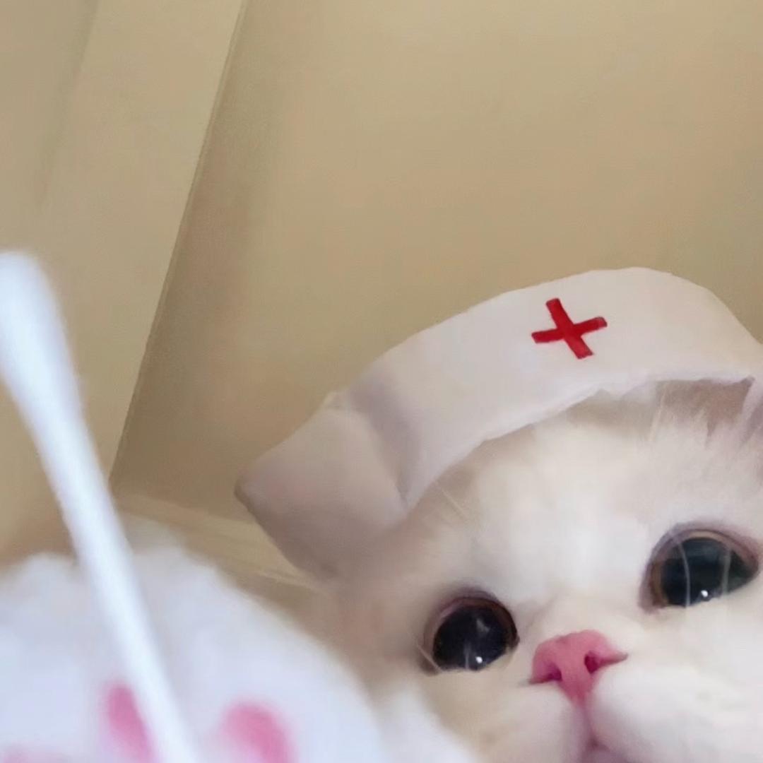 十二夜