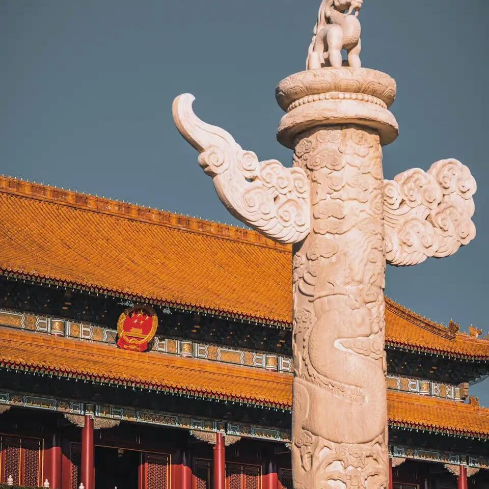 斑马🦓