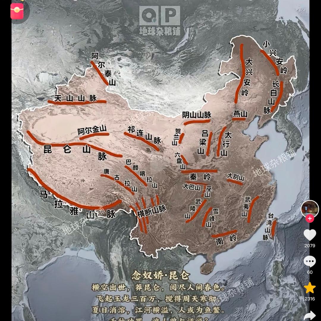 🎅🦎大漠戈壁蜥蜴🦎🎅