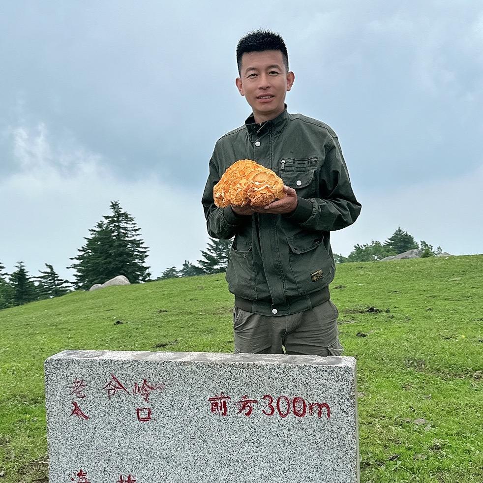 东北峰弟