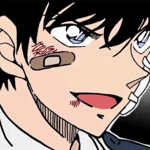 念念的追柯日常（私信被封）