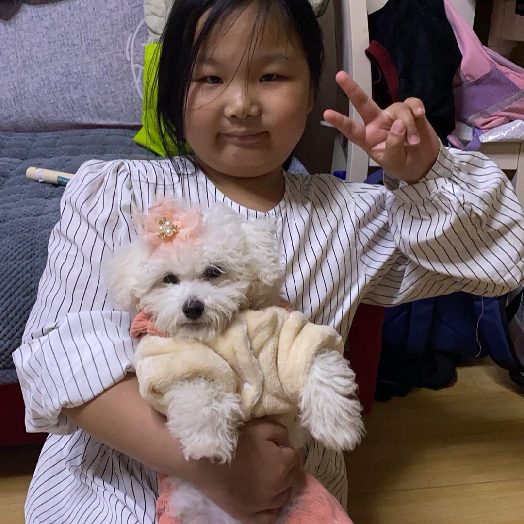 小甜同志
