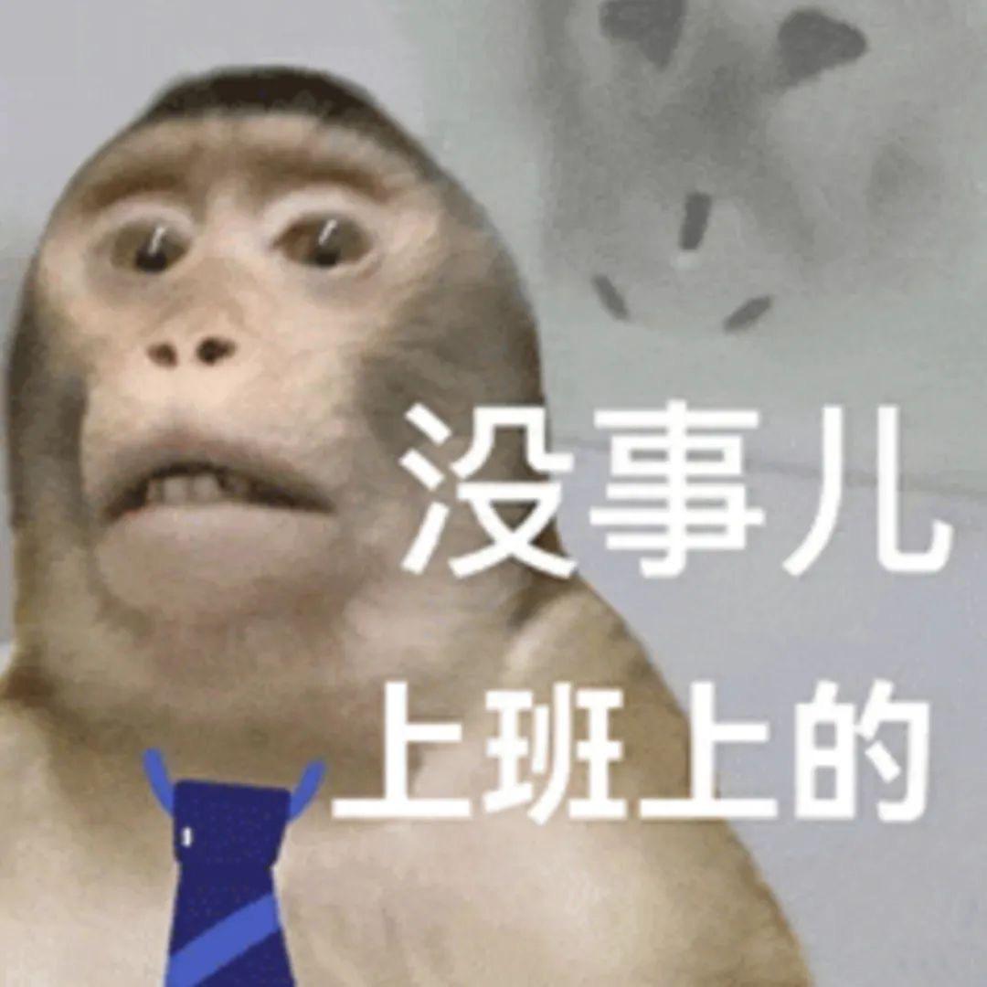 麦芽小饼