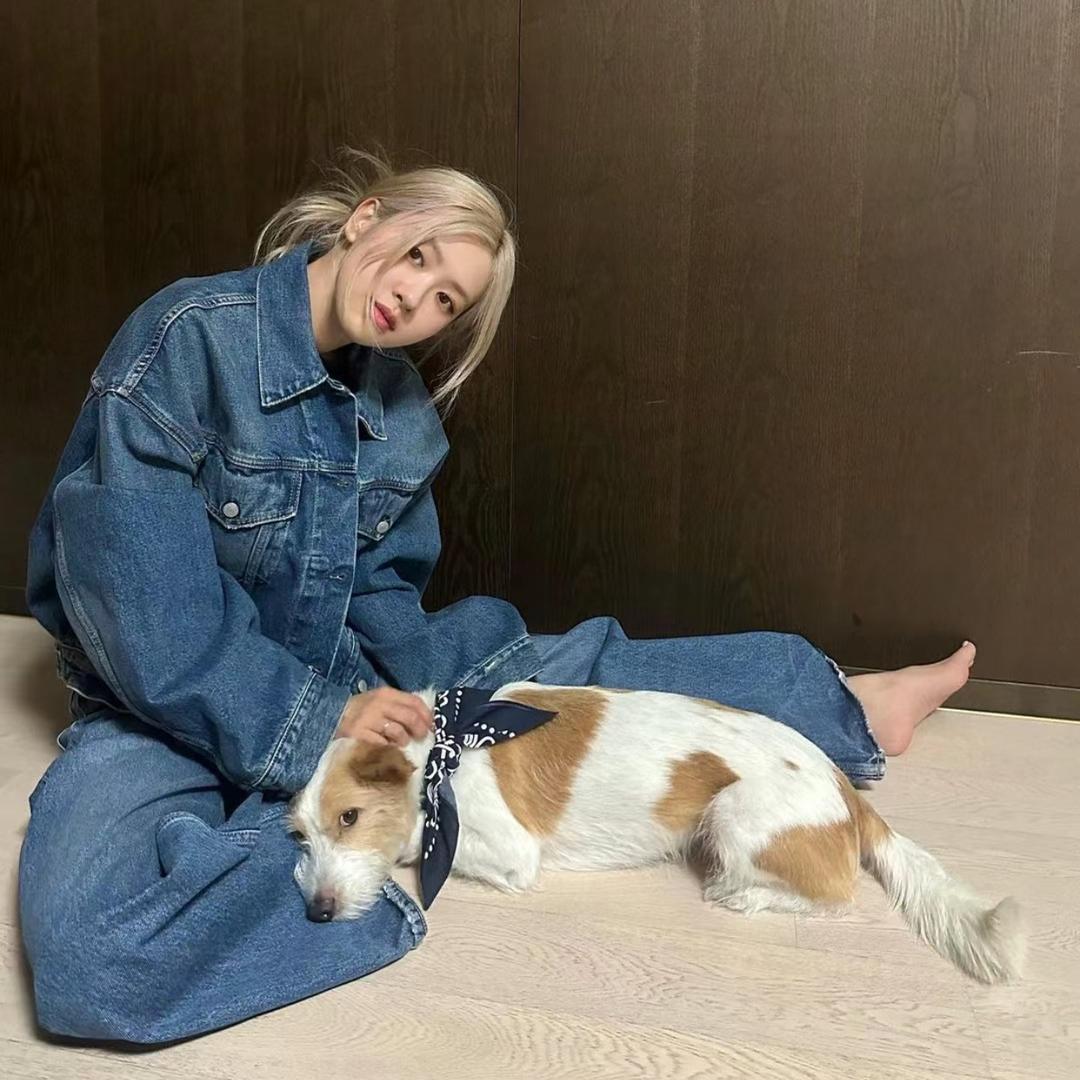 o  ㅤ