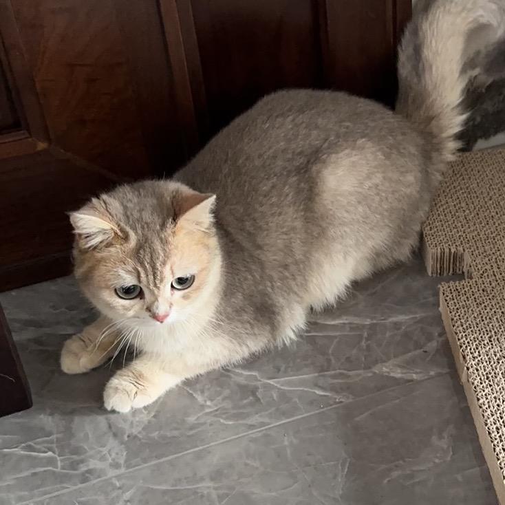 人生总是身不由己