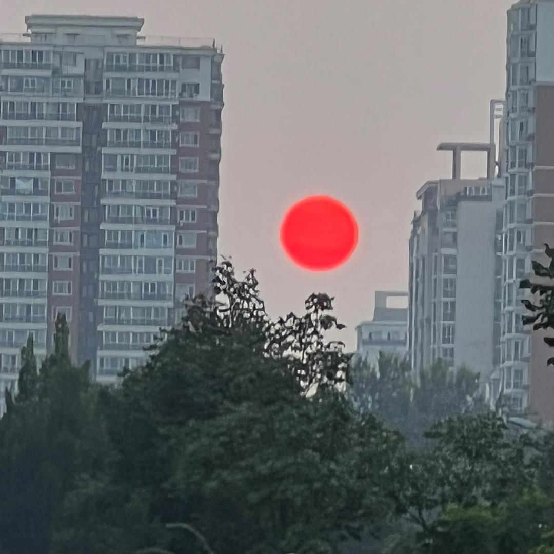 阳光哥哥