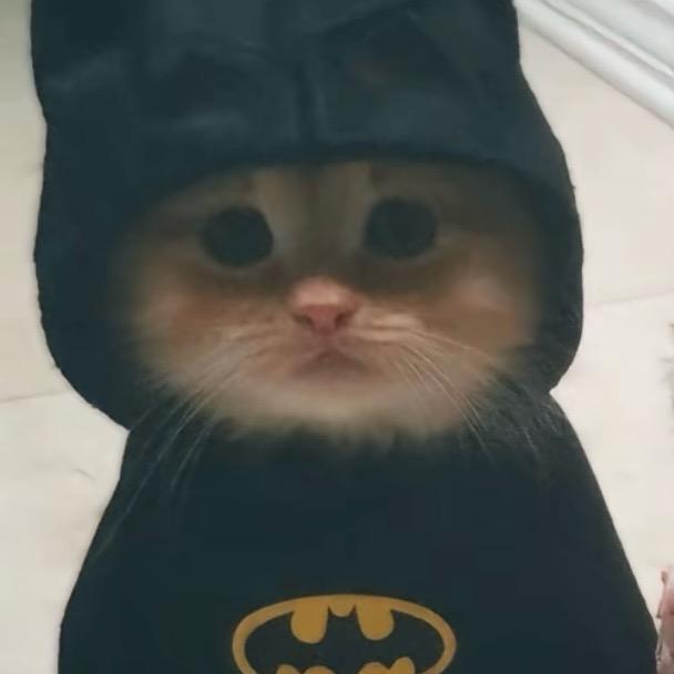 泪水打湿猪脚饭你却不懂得我的好