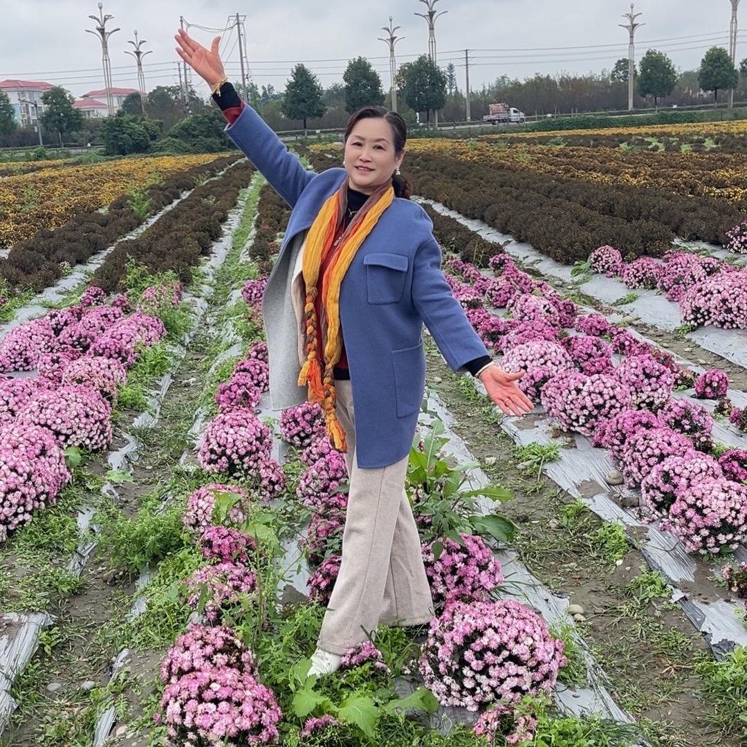 芳芳姐橱窗