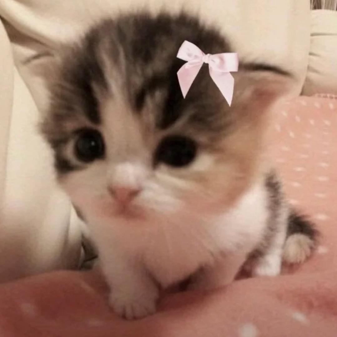 小温宝~