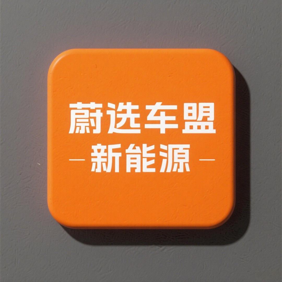 蔚选车盟新能源商用车+小小