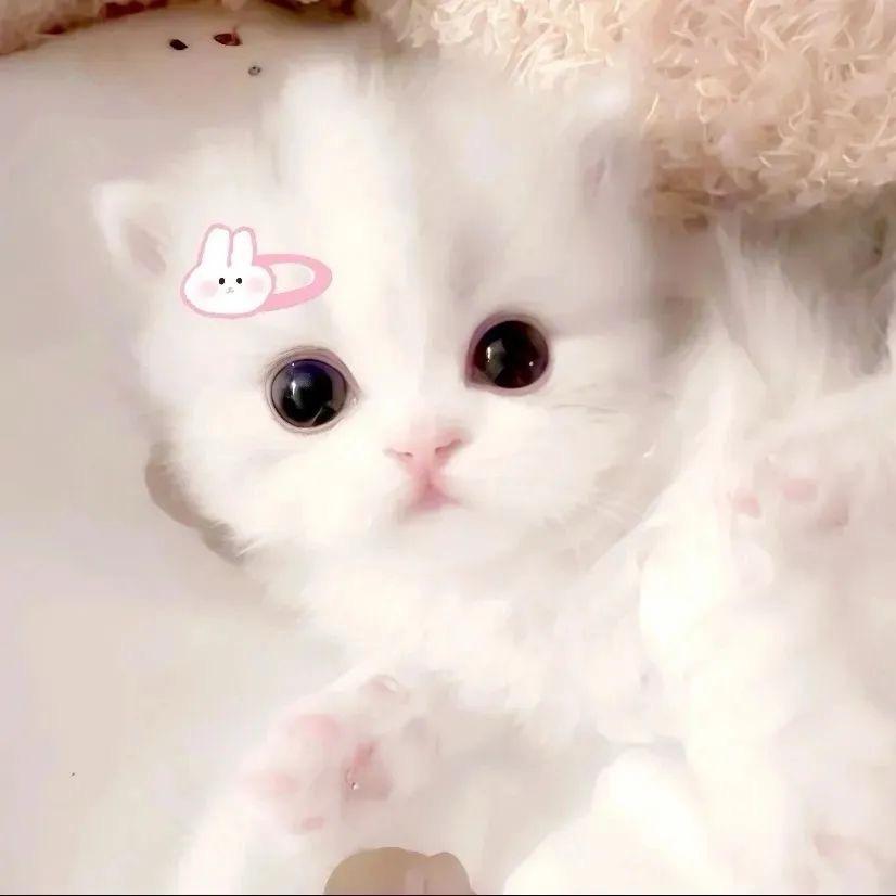 小雨