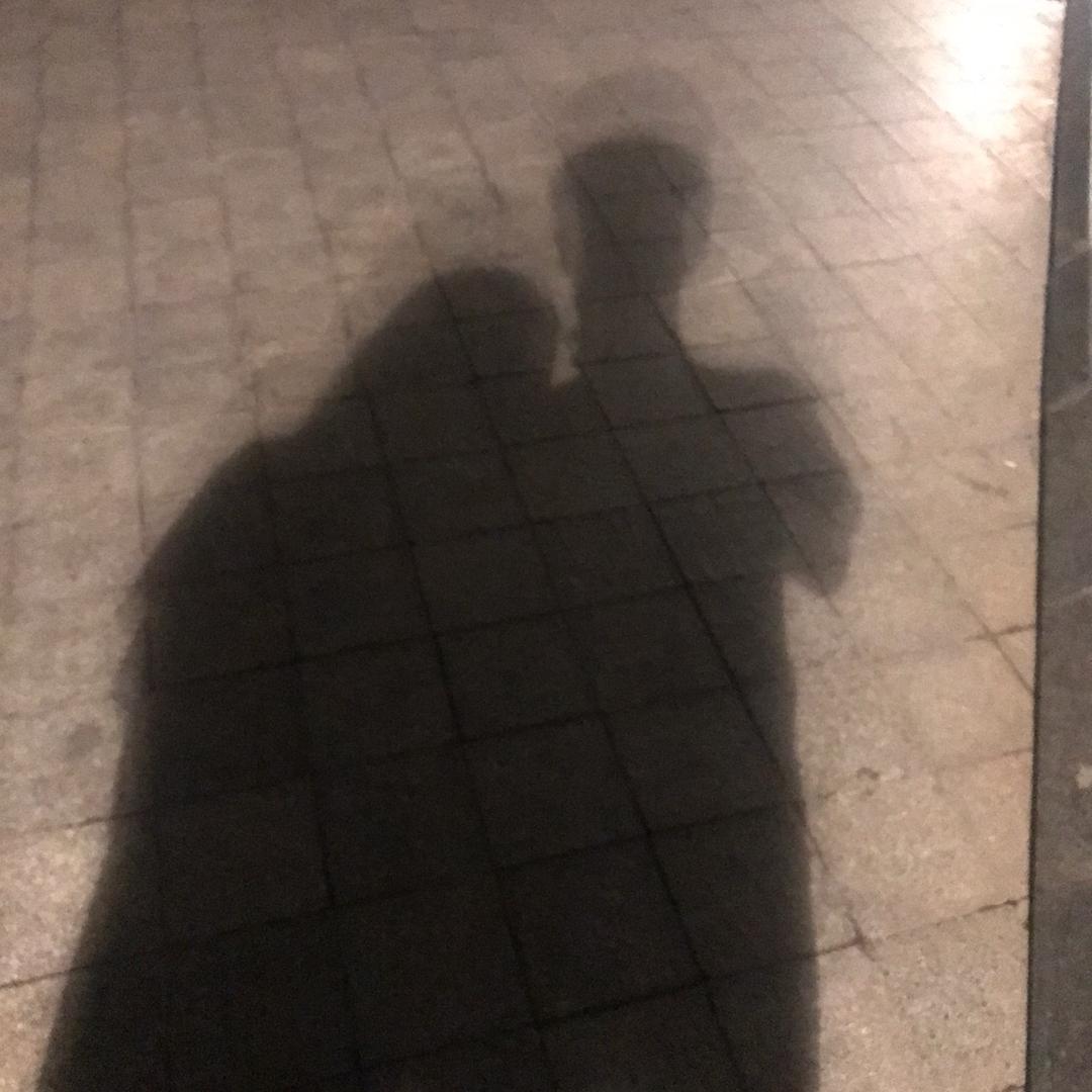 汪汪队集合