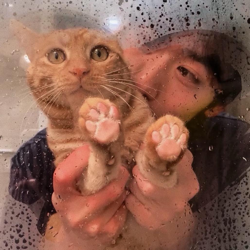 追上太阳的月亮